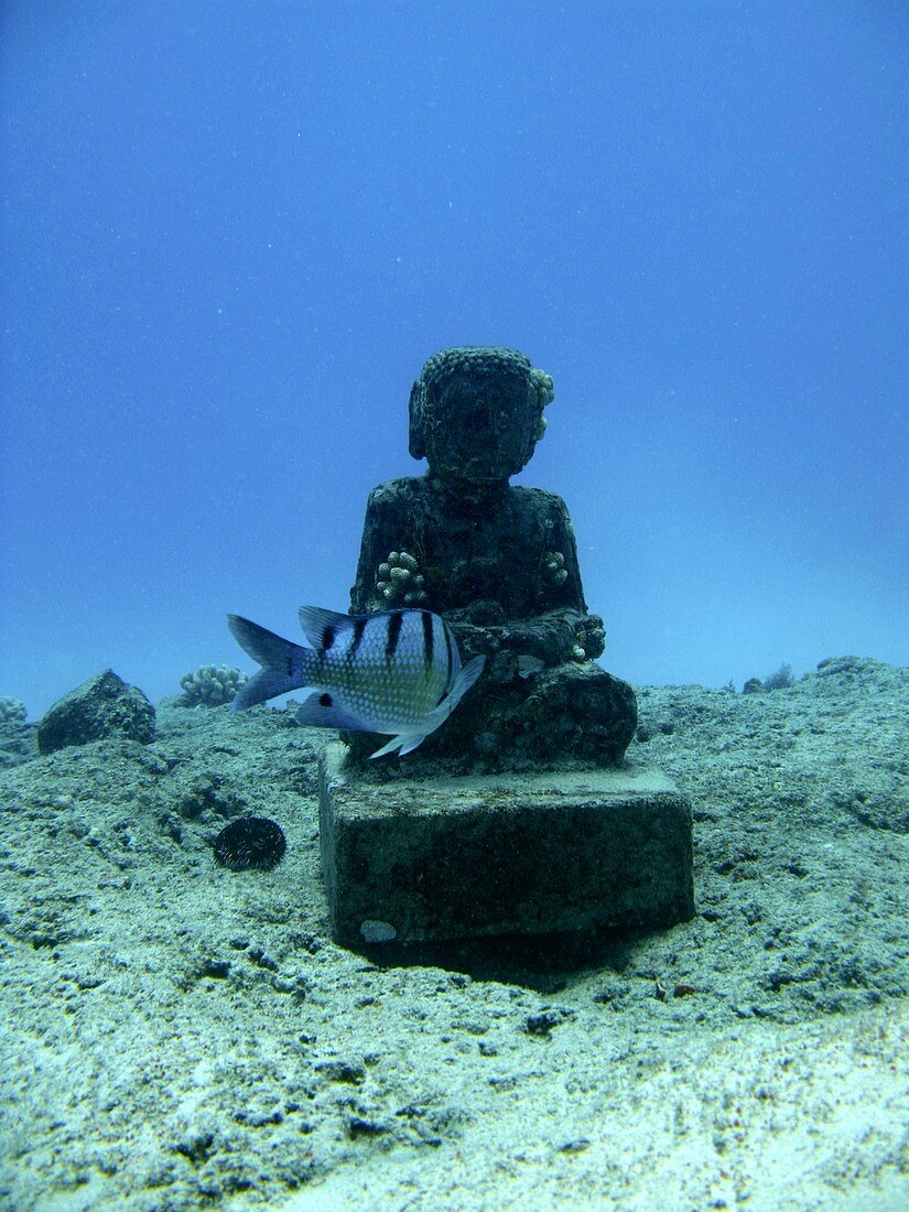 Sunken statue,Hawaii