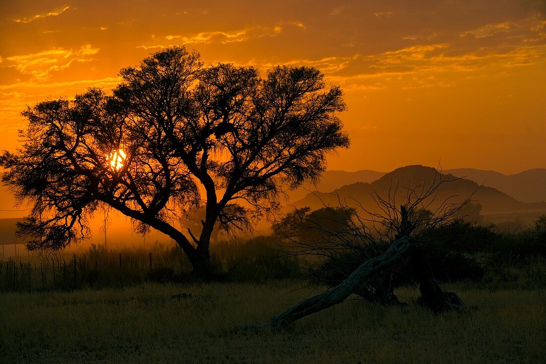 Dawn over Namibian landscape