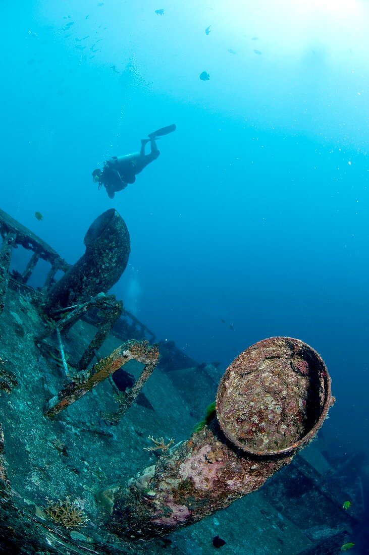 Diver and wreck,Thailand