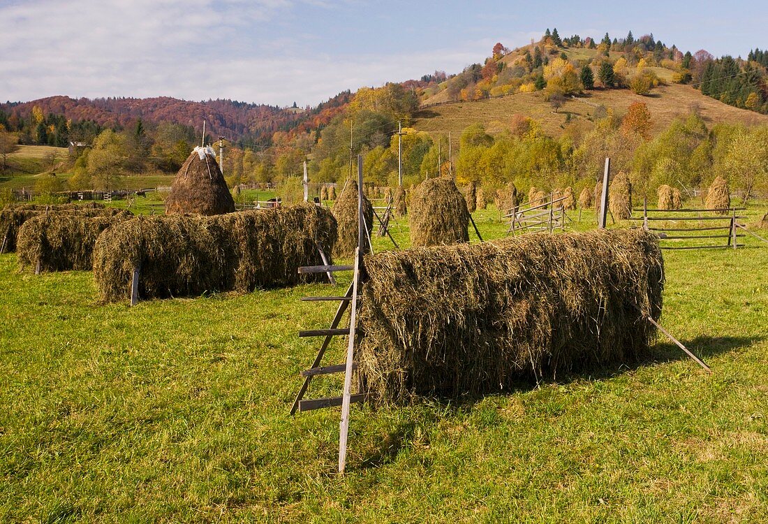 Hay racks and stooks,Romania