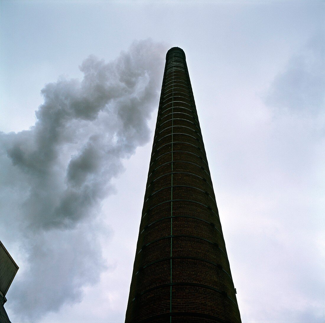 Incinerator chimney