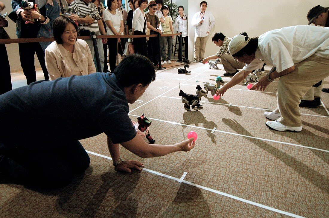 AIBO robot dog racing