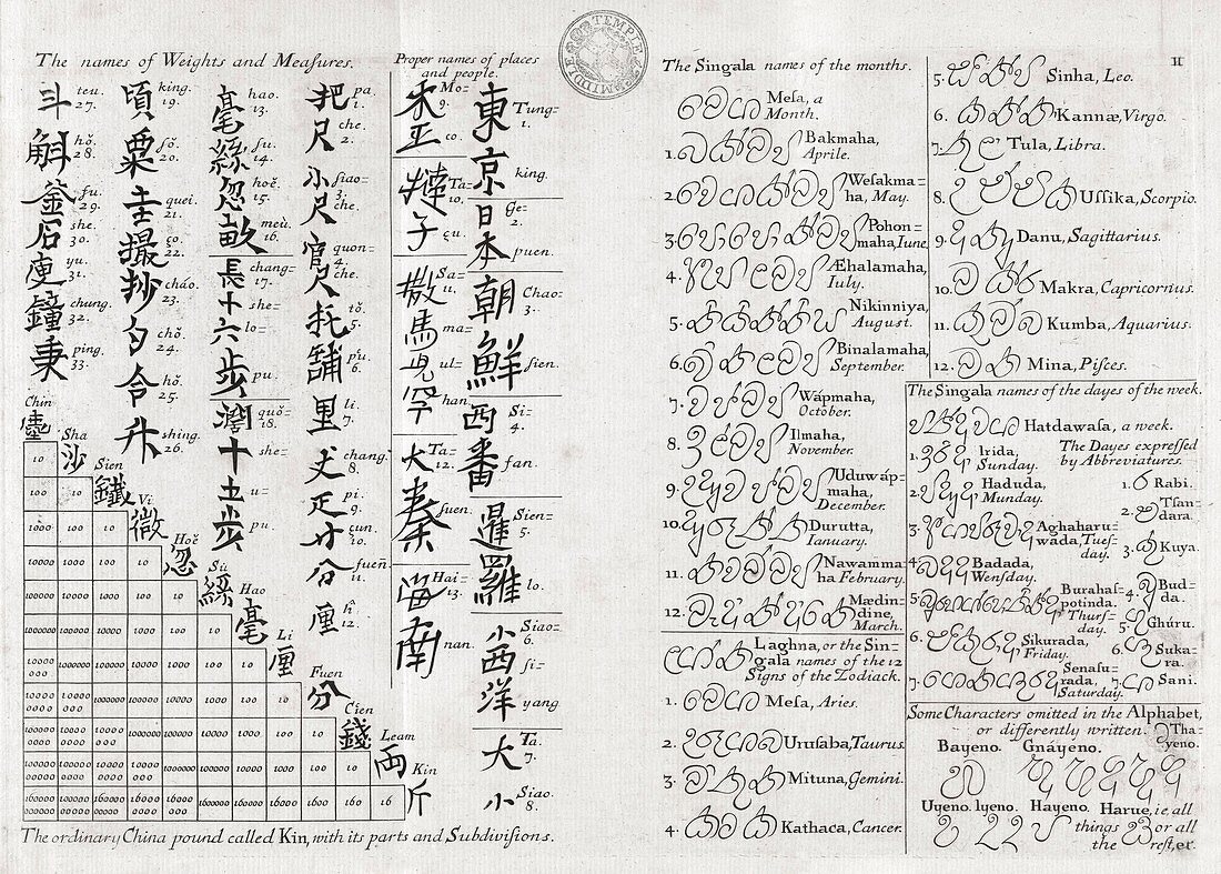 Chinese and Sinhalese,18th century text