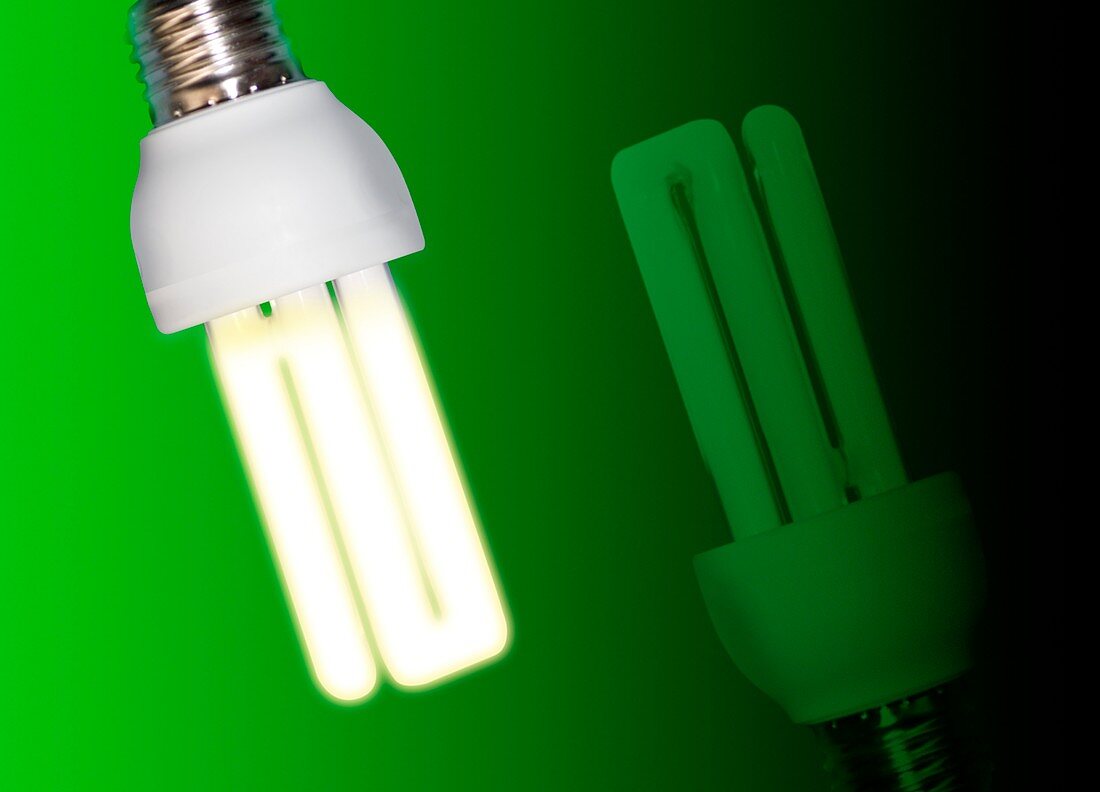 Energy-saving light bulbs,artwork