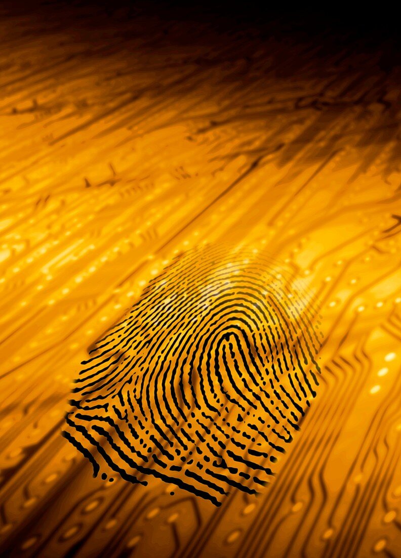 Biometric security,artwork