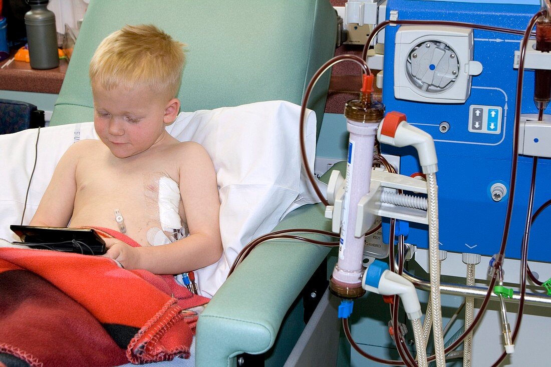 Boy undergoing kidney dialysis
