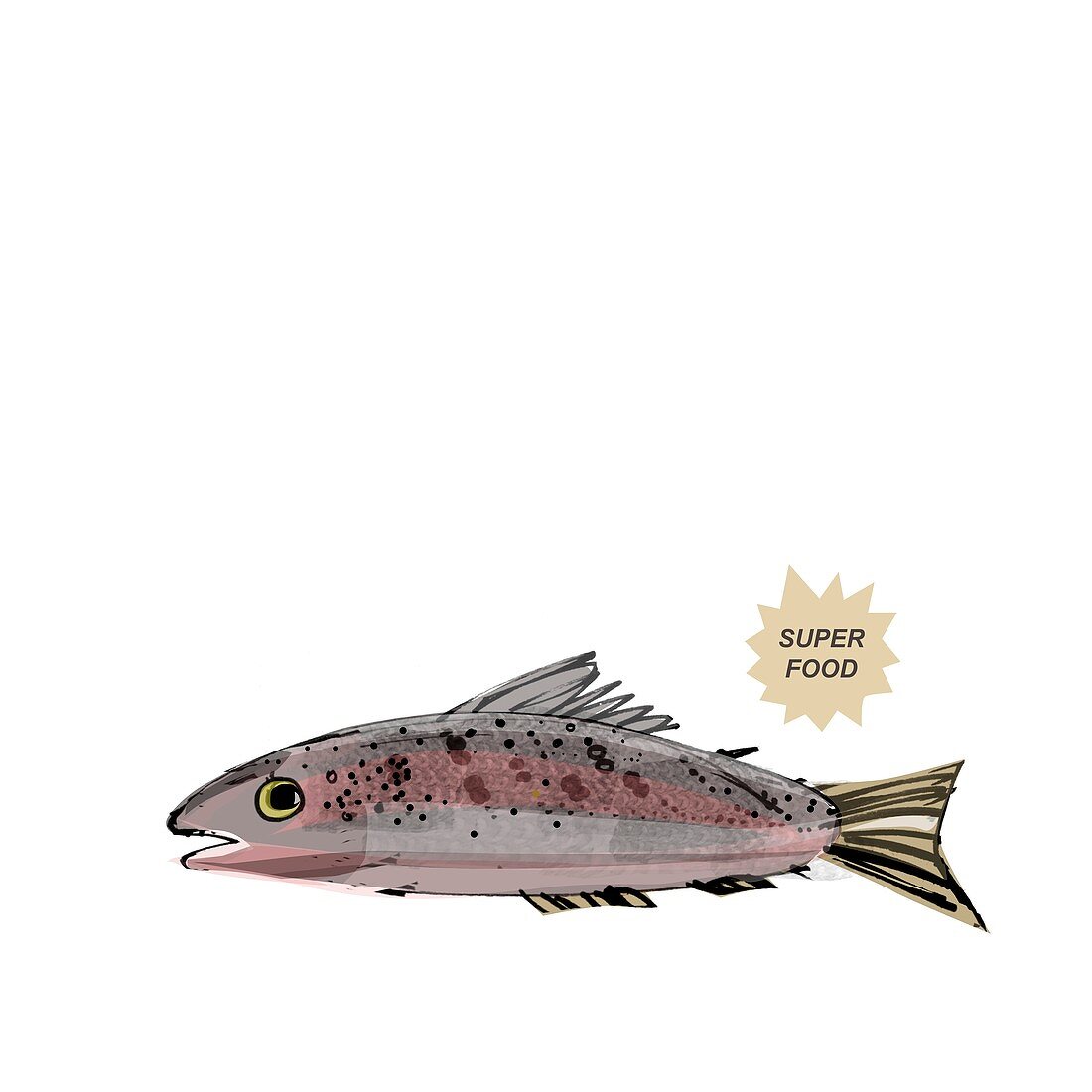 Salmon superfood,artwork