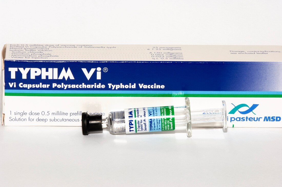 Typhim Vi typhoid vaccine