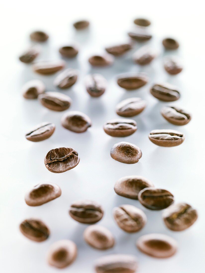 Coffee beans