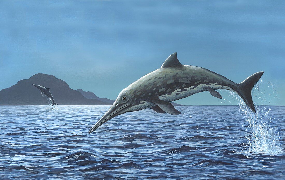 Ichthyosaurs leaping in the air,artwork