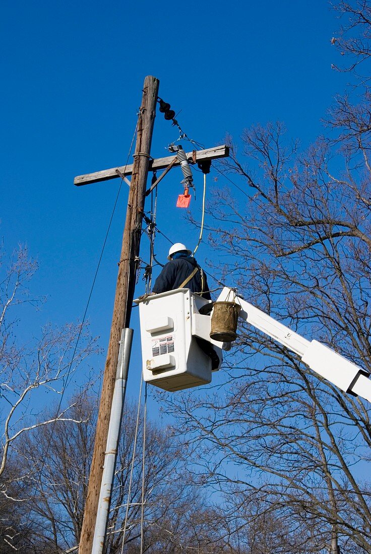 Power line maintenance