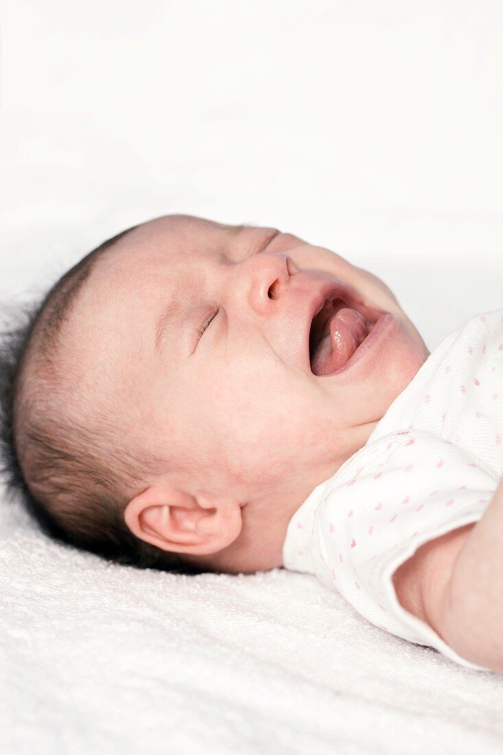 Six week old baby girl crying