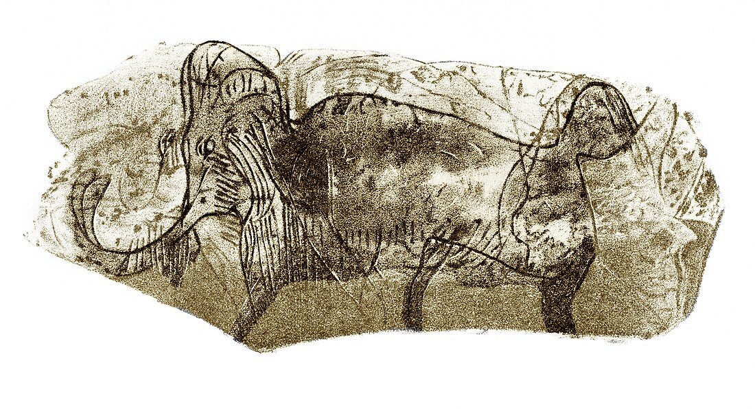 Mammoth,prehistoric bone art