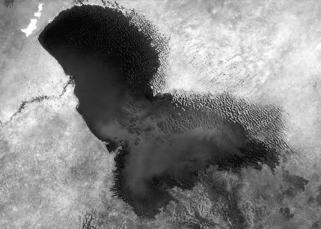 Lake Chad,satellite image,1963