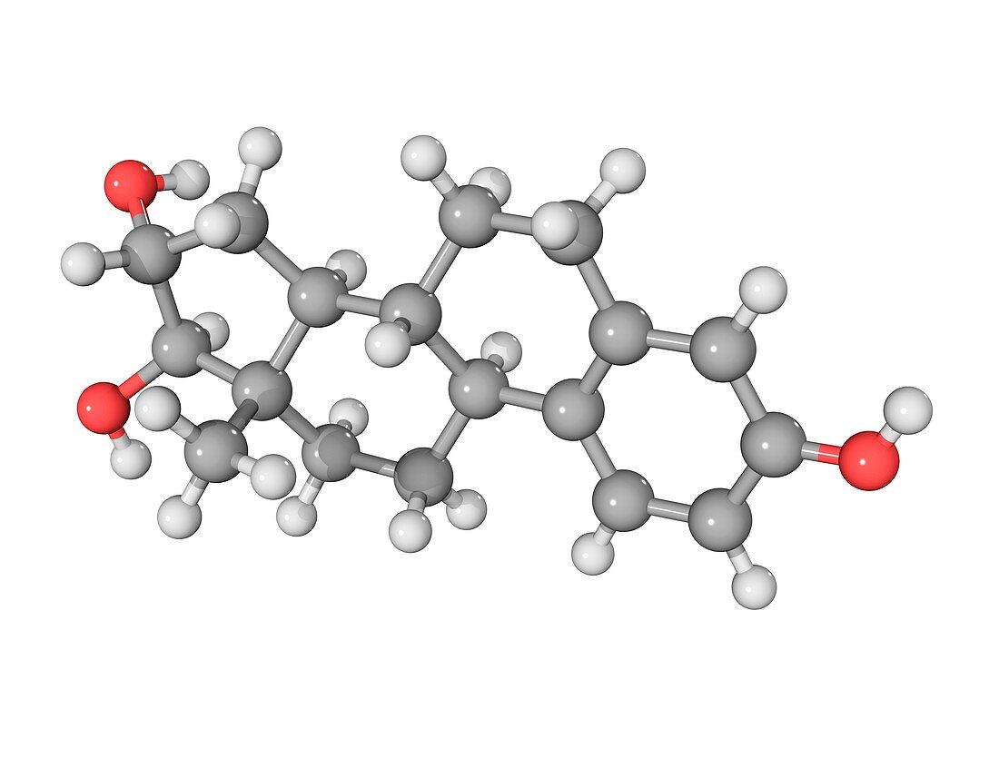 Oestriol hormone molecule