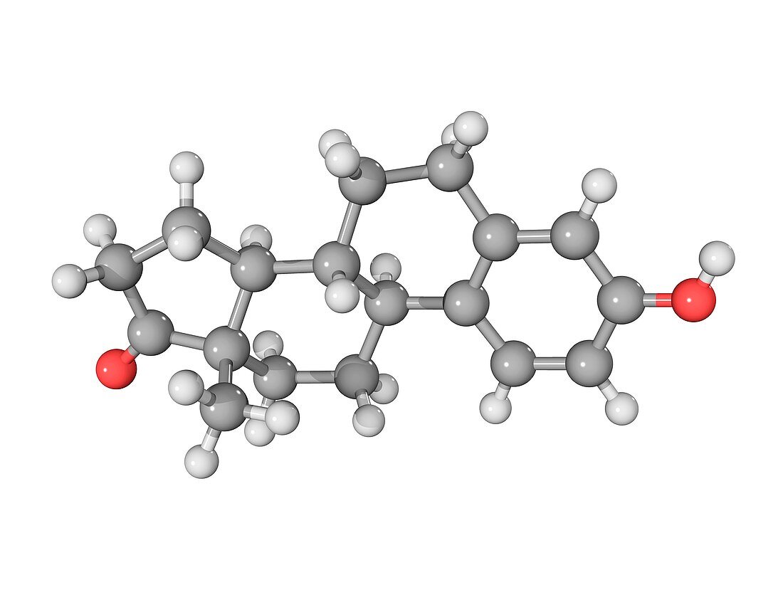 Oestrone hormone molecule