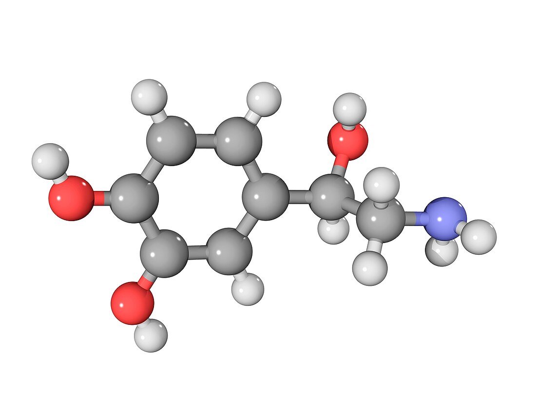 Norepinephrine neurotransmitter molecule