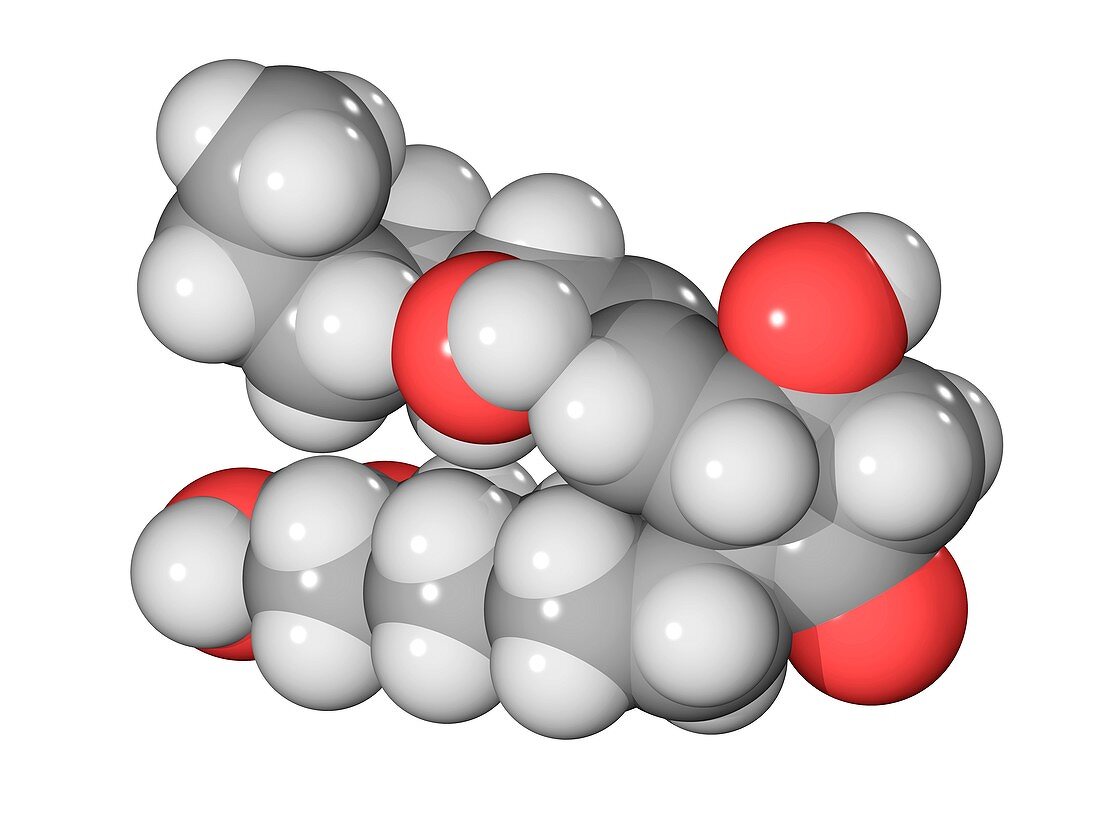 Prostaglandin E1 molecule
