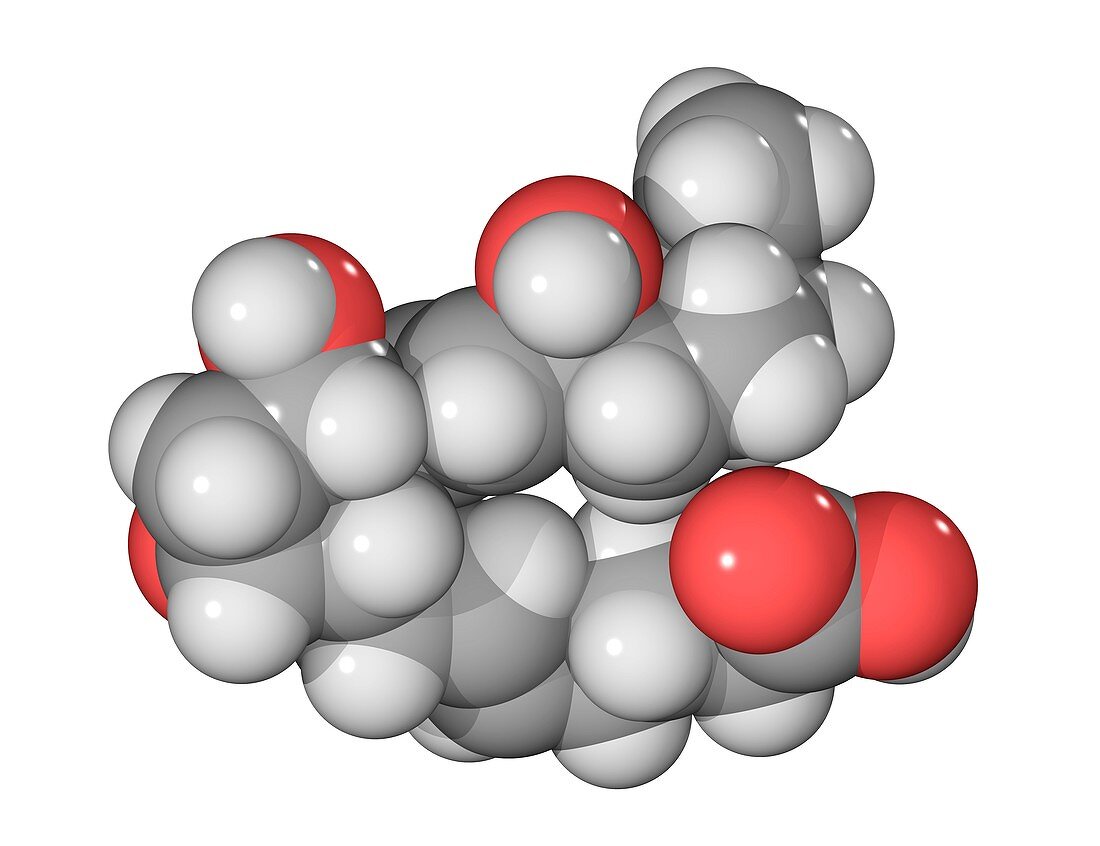 Prostaglandin F2a molecule