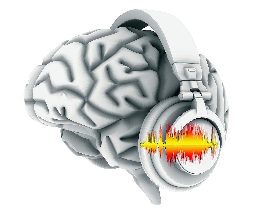 Brain with headphones,artwork