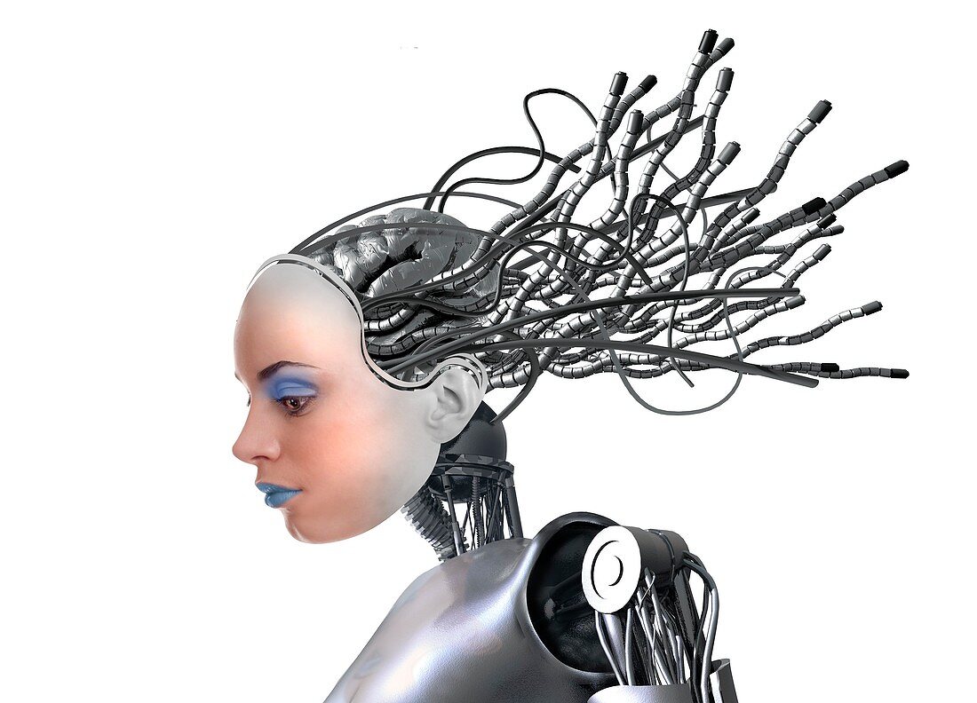 Female cyborg,artwork
