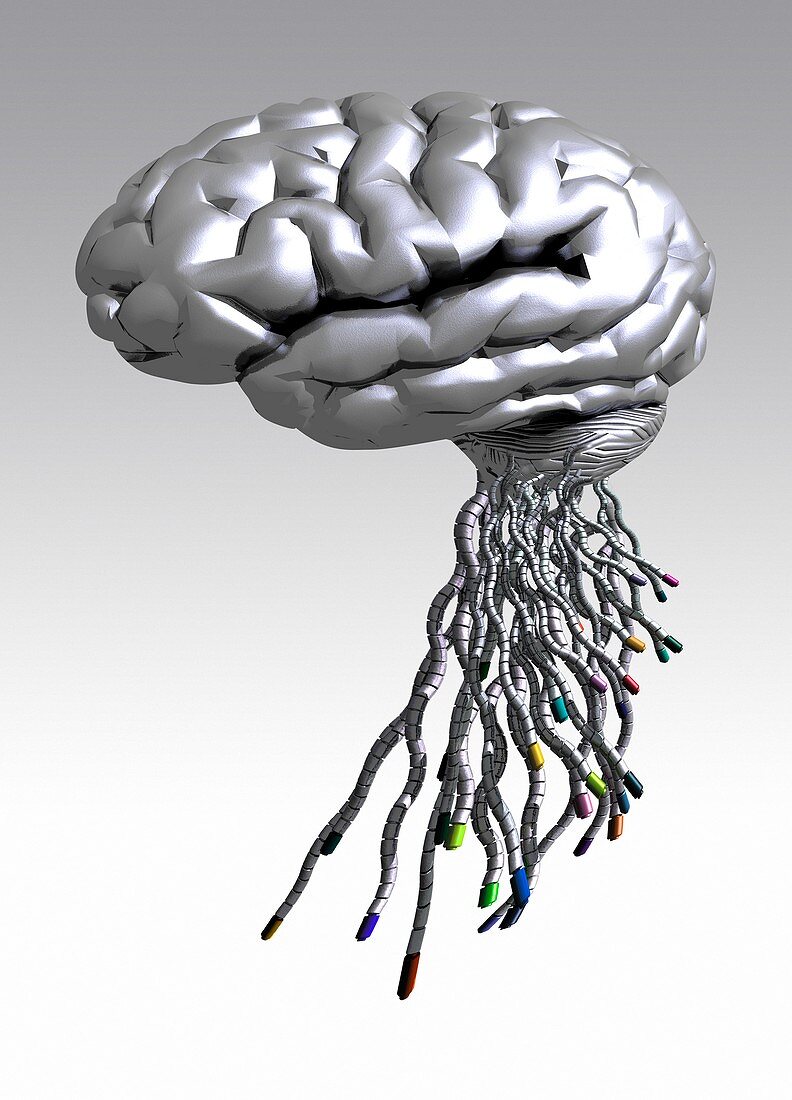 Cyborg brain,artwork