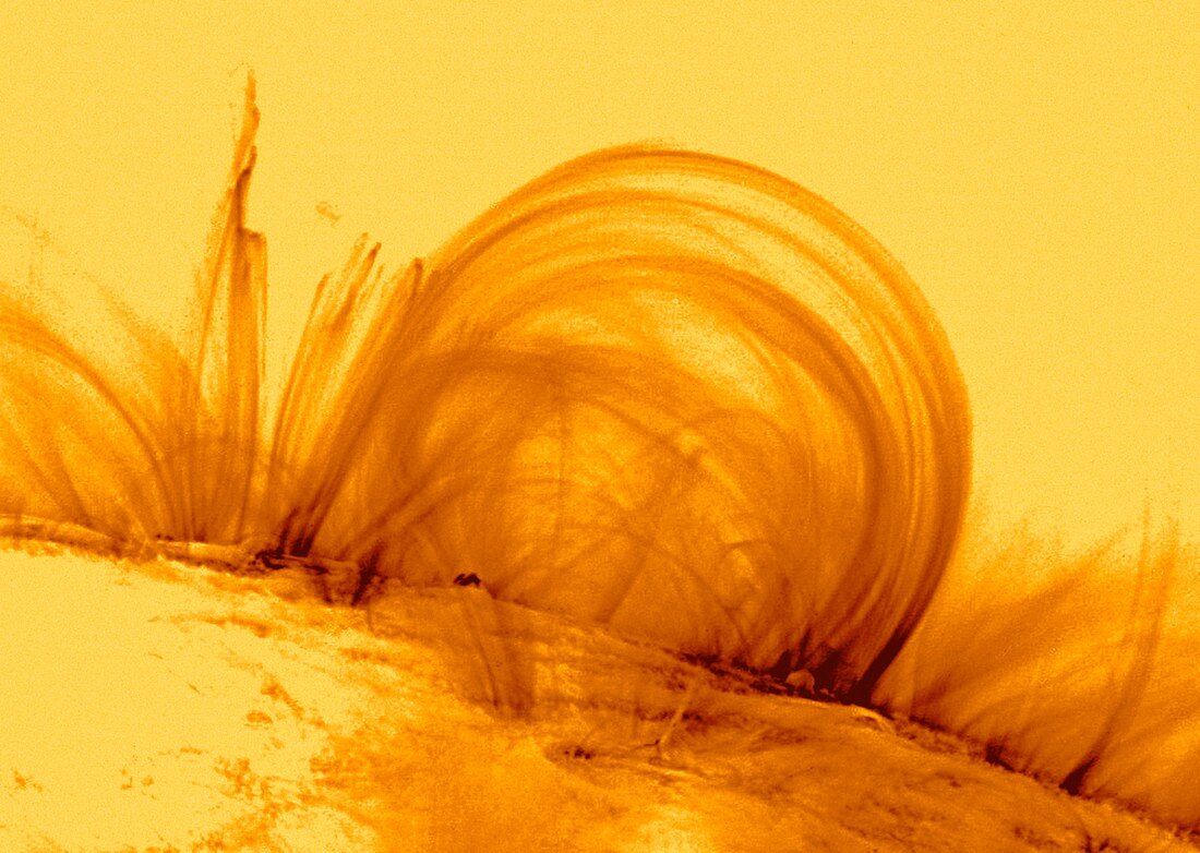 Solar coronal loops,artwork