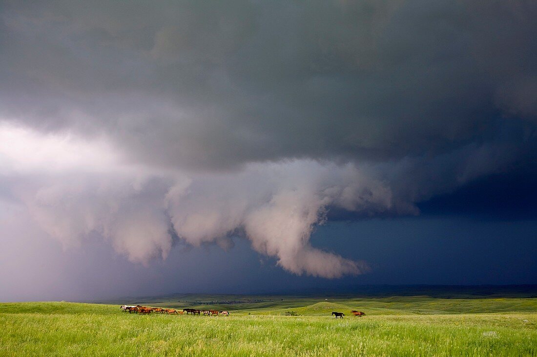 Tornadic supercell thunderstorm,USA