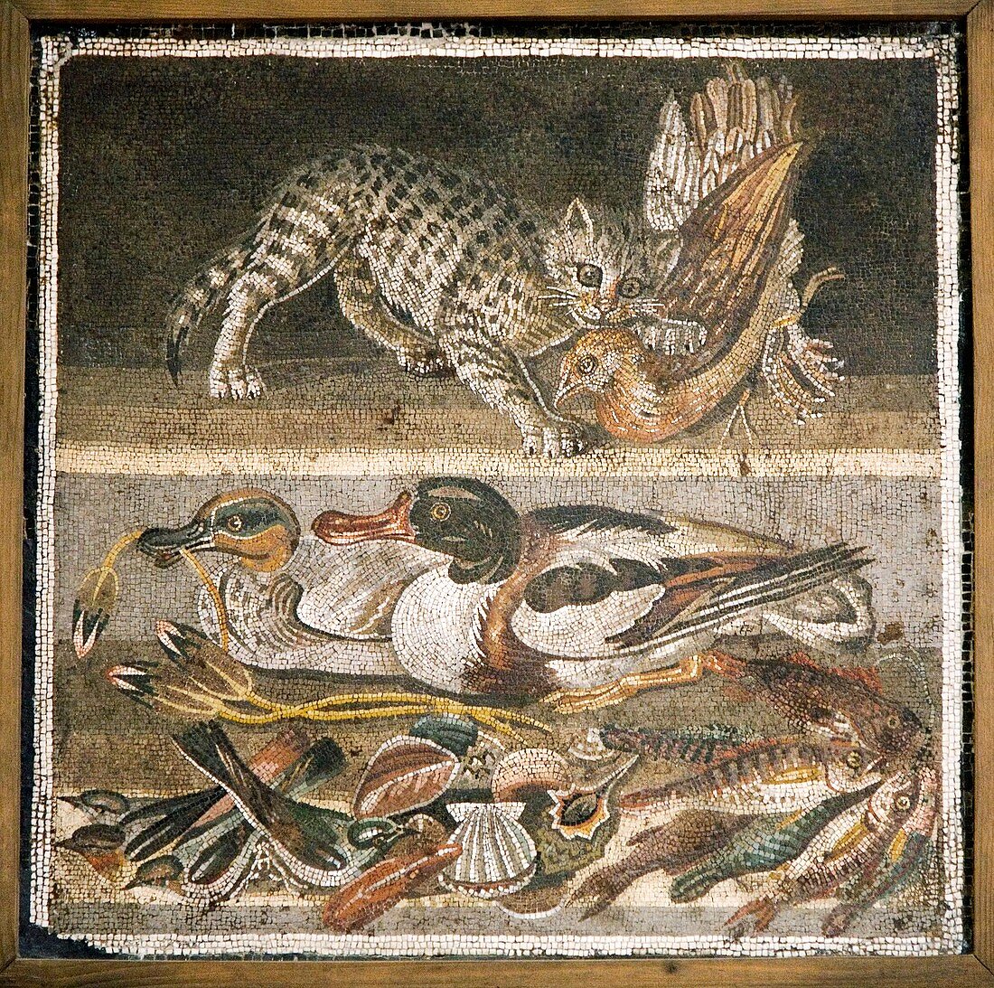 Wildlife scenes,Roman mosaic