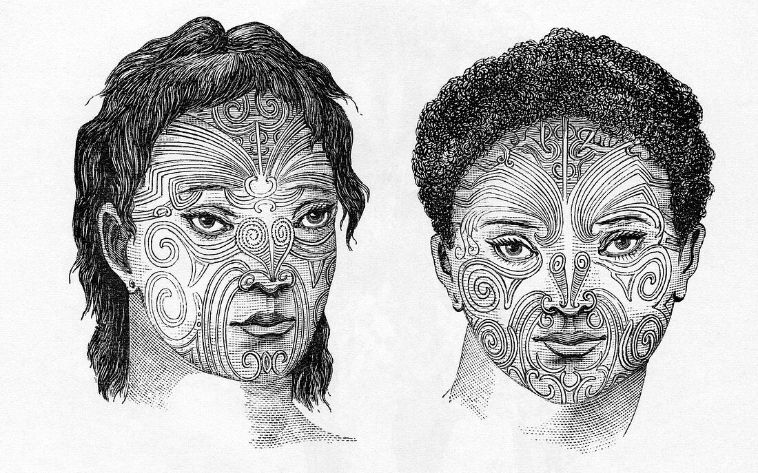 Maori head tattoos,artwork