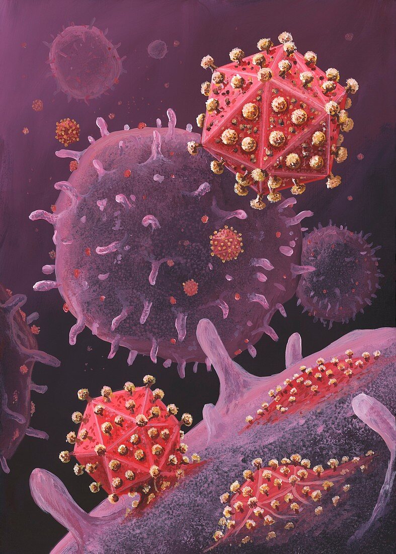 HIV particles exiting a cell,artwork