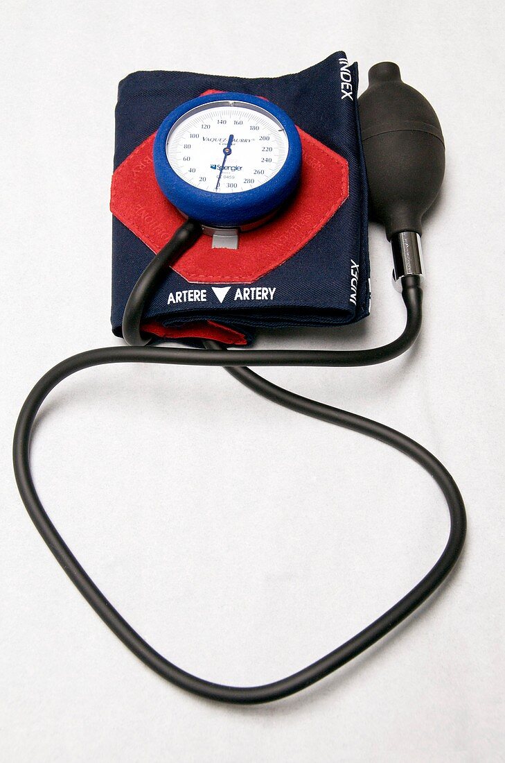 Blood pressure gauge