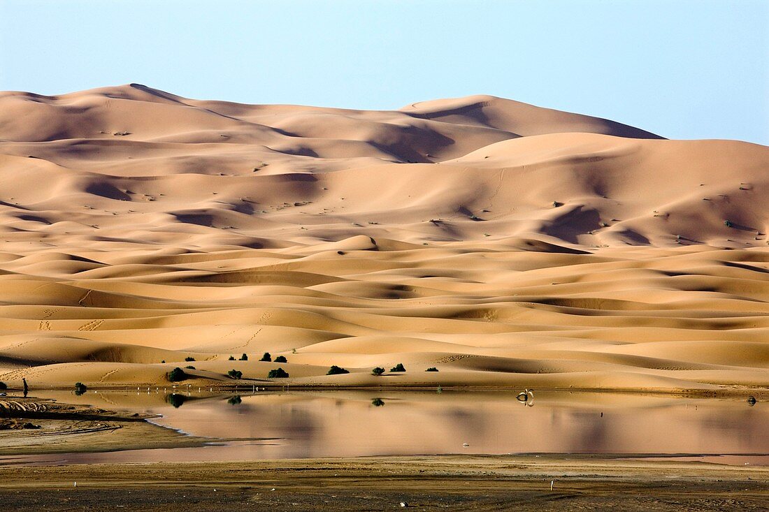 Saharan lake and sand dunes