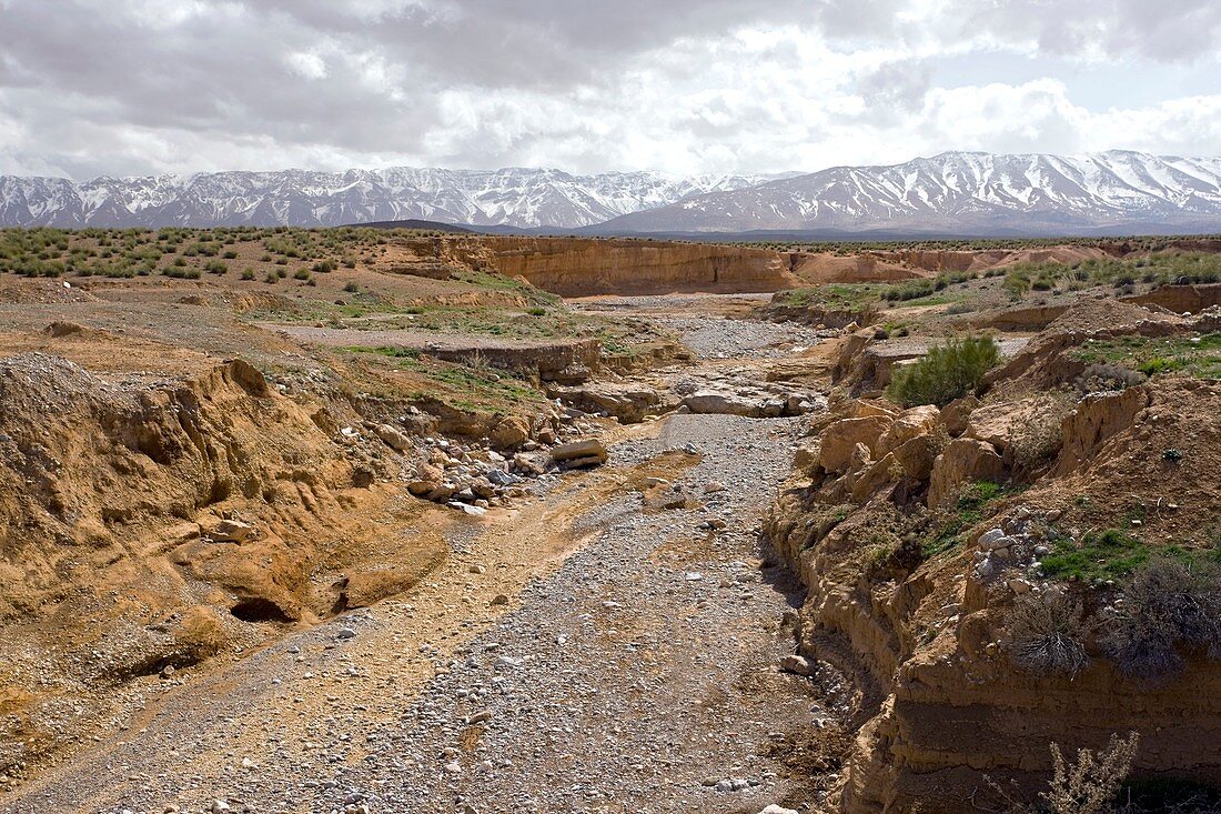 Dry river in Morocco