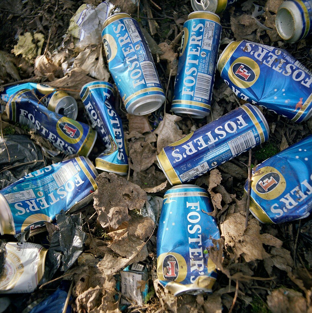 Discarded larger cans