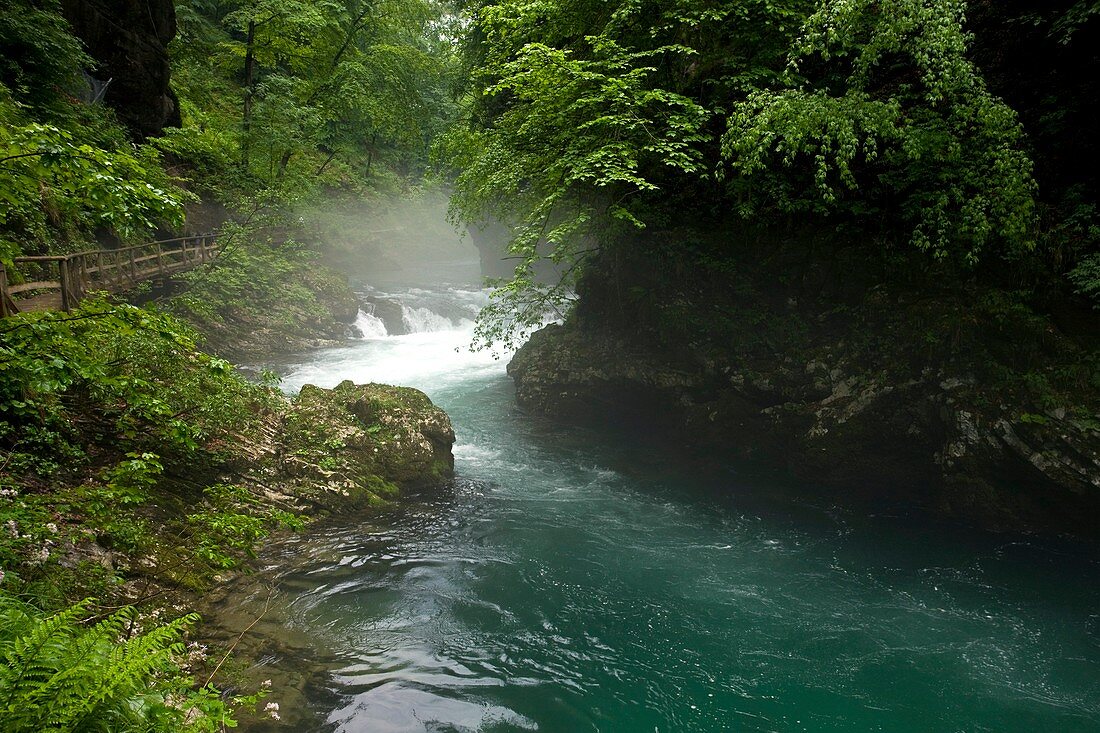 The Radovna river in Slovenia