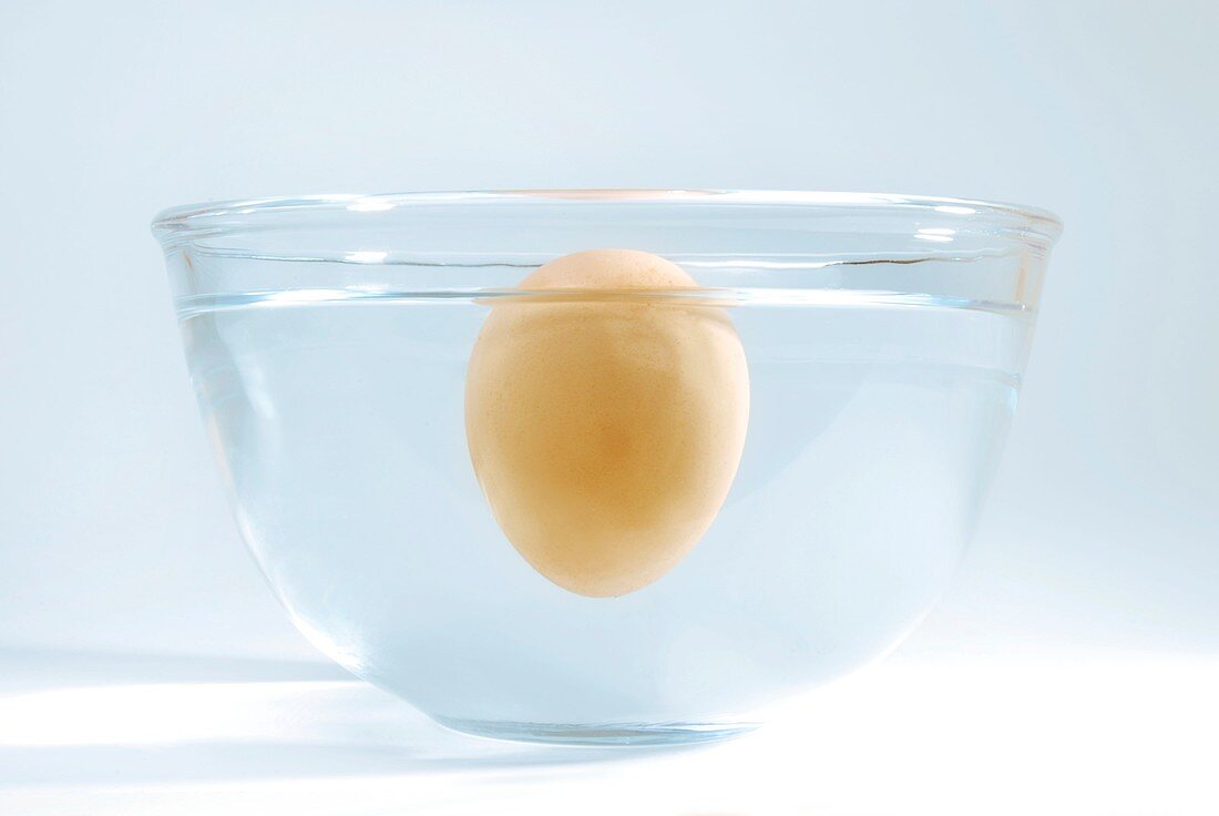 Rotten egg floating