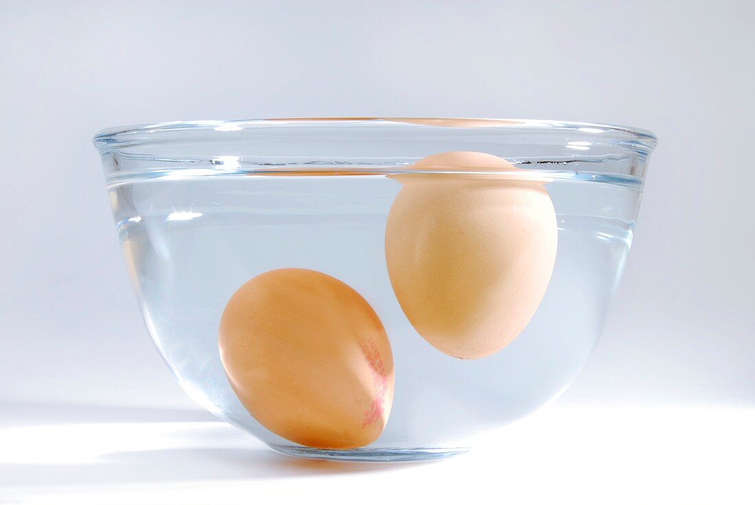 Rotten and fresh egg in water