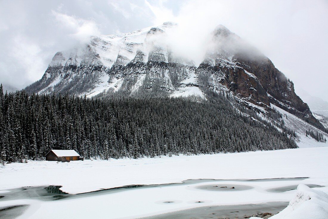 Shores of Lake Louise,Canada