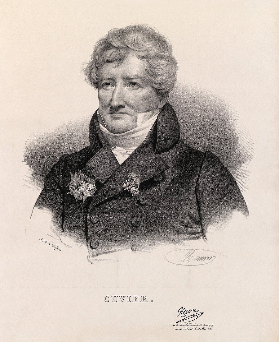 Georges,Baron Cuvier,French anatomist