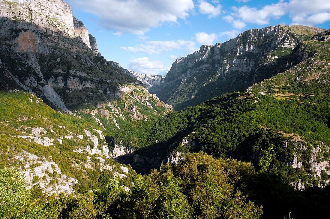 The Vikos Gorge in Greece