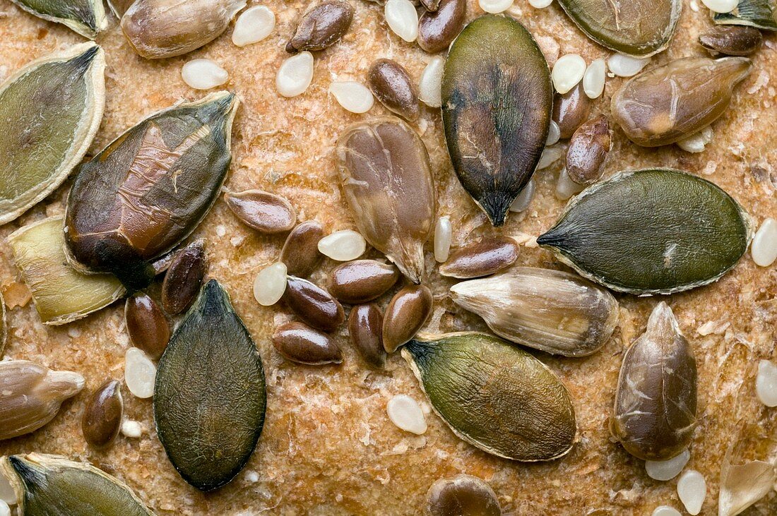 Edible seeds