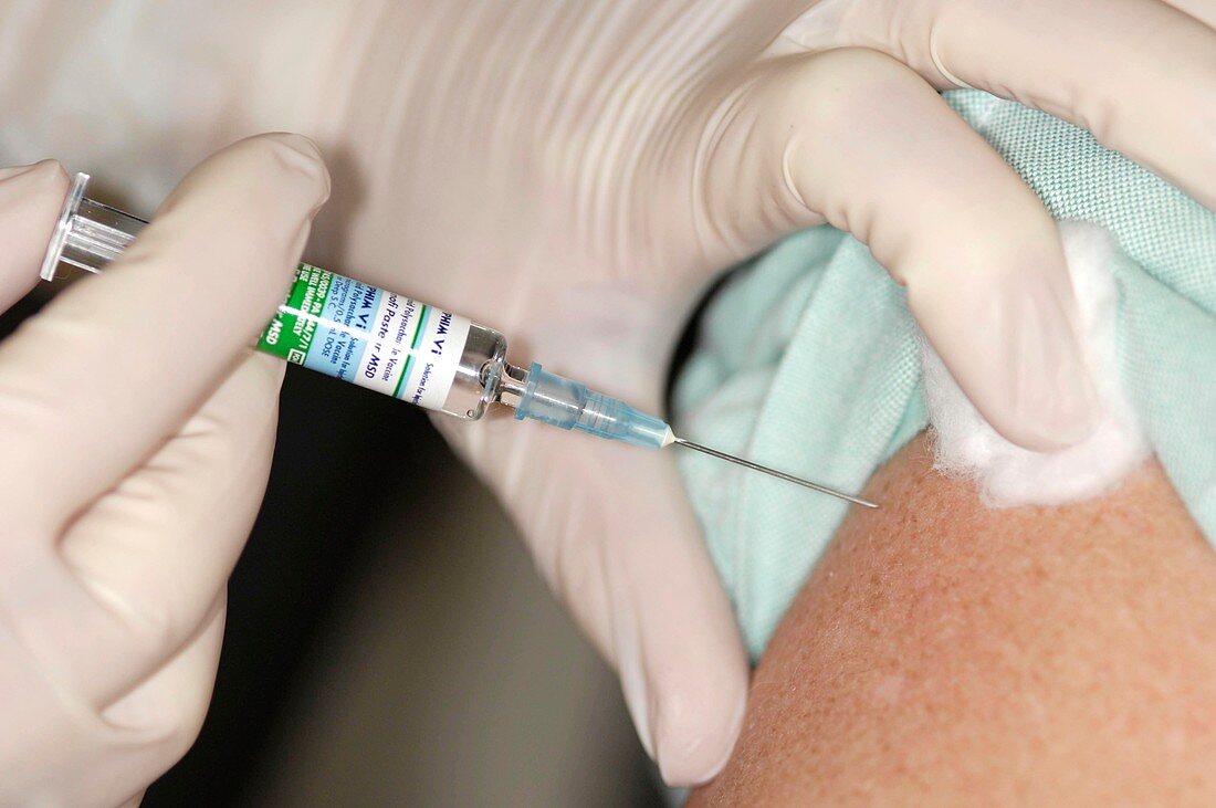 Typhim Vi typhoid vaccination