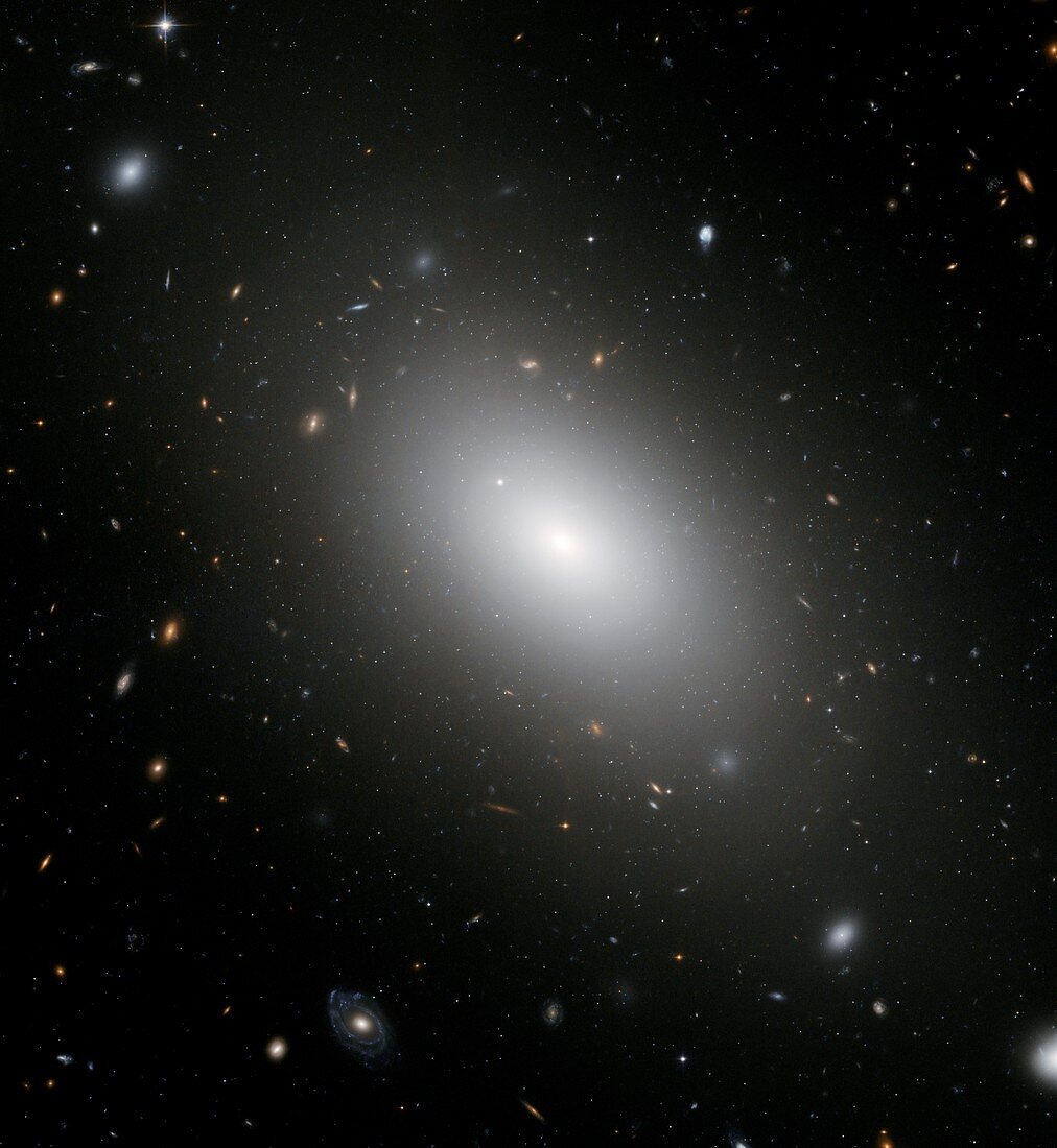 Elliptical galaxy NGC 1132