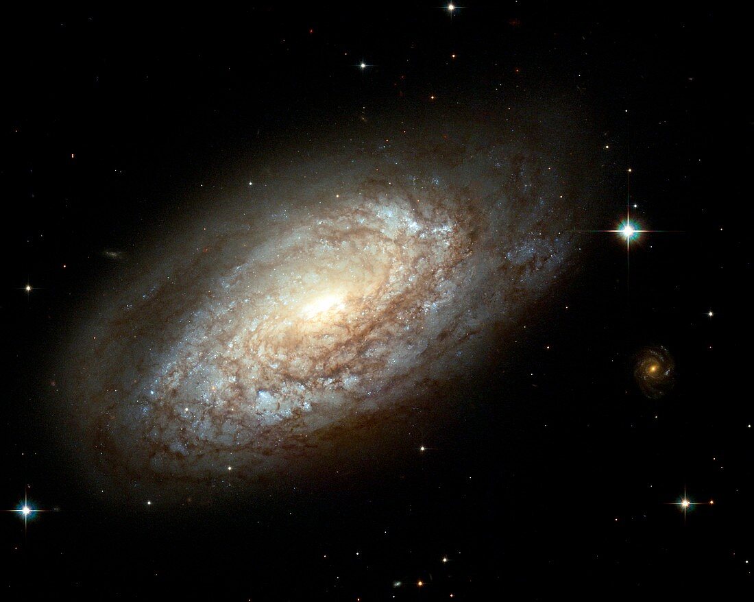 Spiral galaxy NGC 2397