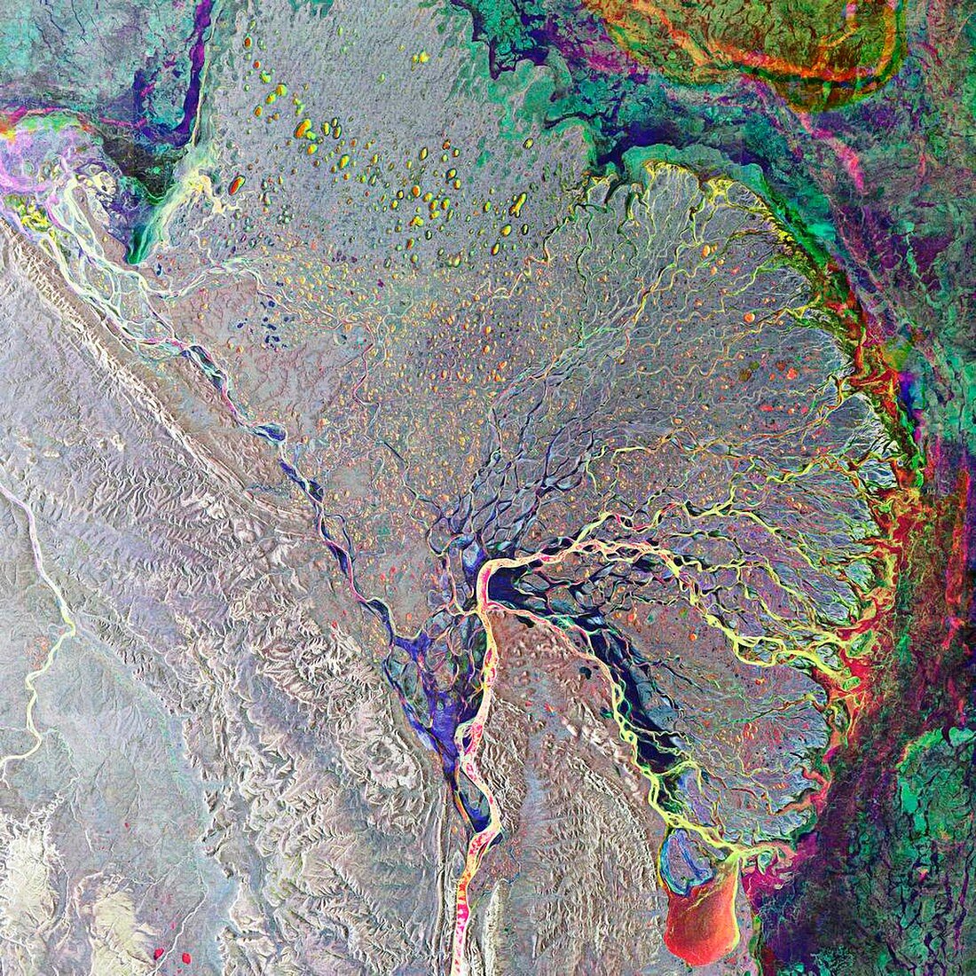 Lena Delta,satellite radar image