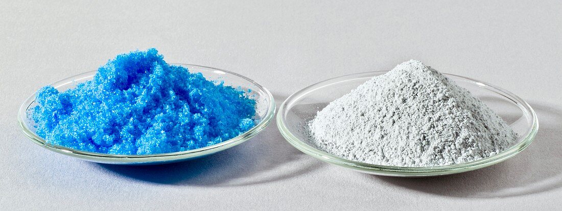 Copper (II) sulphate forms