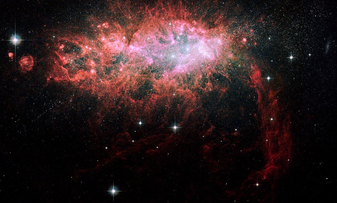 Starburst galaxy NGC 1569,HST image