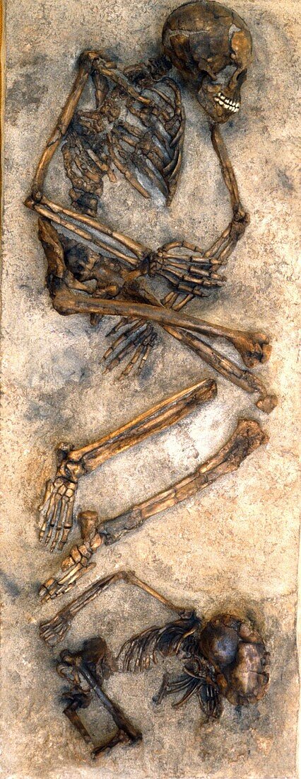 Qafzeh human remains