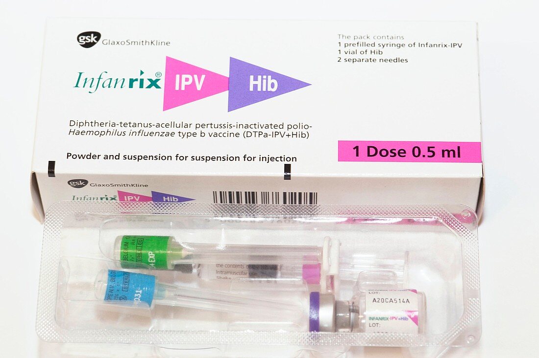 Infanrix vaccine